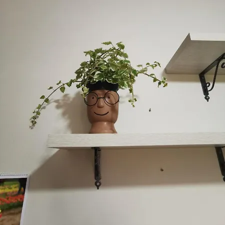 Le Magnolie Apartamento Decimomannu